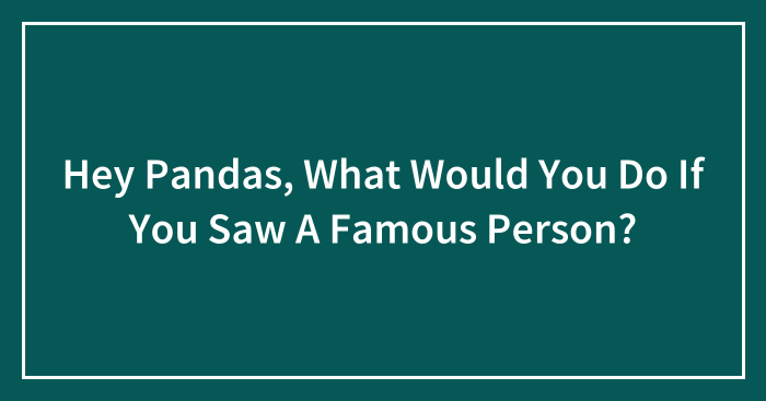 Hey Pandas, What Would You Do If You Saw A Famous Person? (Closed)