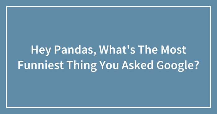 Hey Pandas, What’s The Most Funniest Thing You Asked Google? (Closed)