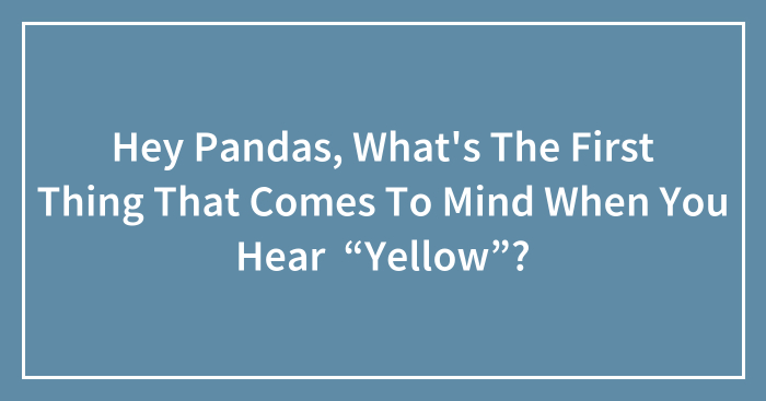Hey Pandas, What’s The First Thing That Comes To Mind When You Hear “Yellow”?