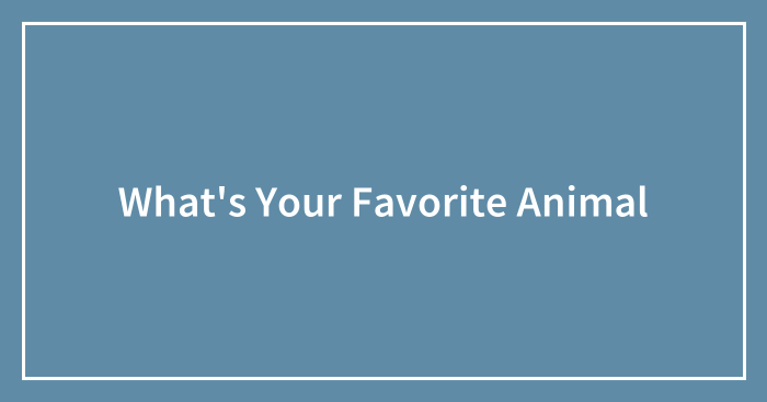 What’s Your Favorite Animal