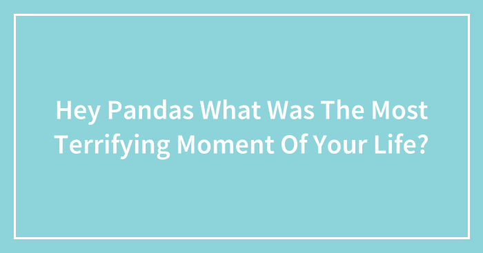 Hey Pandas What Was The Most Terrifying Moment Of Your Life?