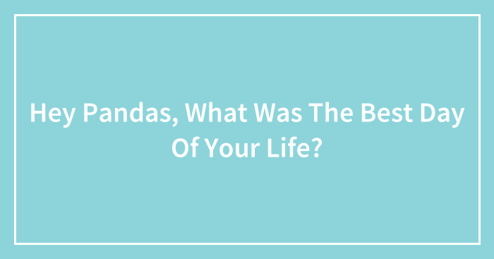 Hey Pandas, What Was The Best Day Of Your Life?