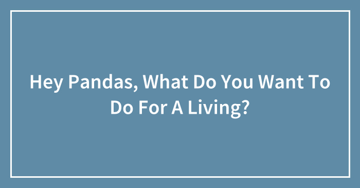 Hey Pandas, What Do You Want To Do For A Living? (Closed)
