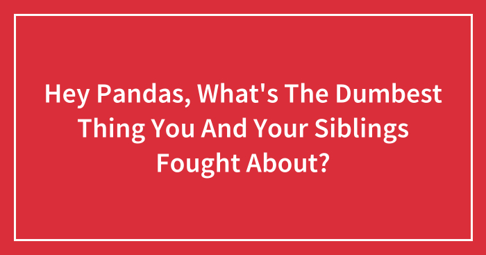Hey Pandas, What’s The Dumbest Thing You And Your Siblings Fought About? (Closed)