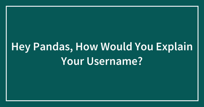 Hey Pandas, How Would You Explain Your Username? (Closed)