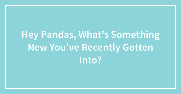 Hey Pandas, What’s Something New You’ve Recently Gotten Into? (Closed)