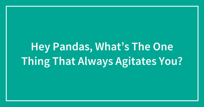Hey Pandas, What’s The One Thing That Always Agitates You? (Closed)