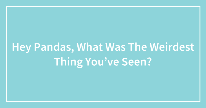 Hey Pandas, What Was The Weirdest Thing You’ve Seen? (Closed)