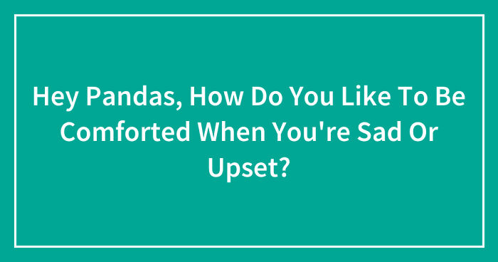 Hey Pandas, How Do You Like To Be Comforted When You’re Sad Or Upset? (Closed)