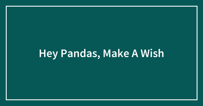 Hey Pandas, Make A Wish (Closed)