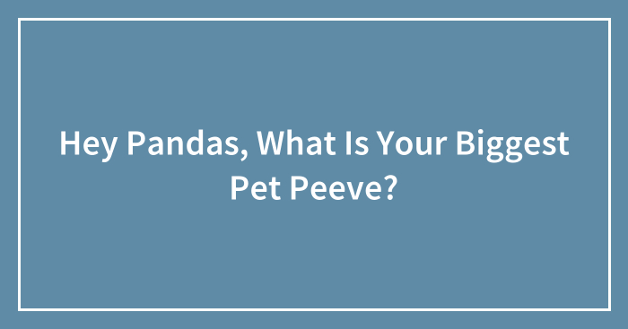 Hey Pandas, What Is Your Biggest Pet Peeve? (Closed)