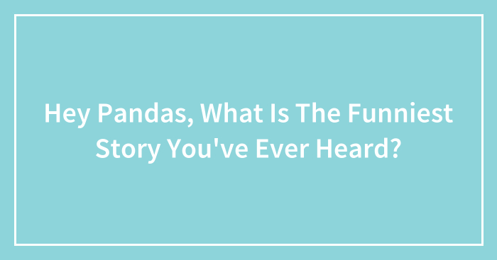 Hey Pandas, What Is The Funniest Story You’ve Ever Heard? (Closed)