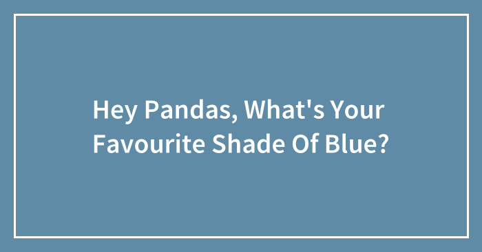Hey Pandas, What’s Your Favourite Shade Of Blue?