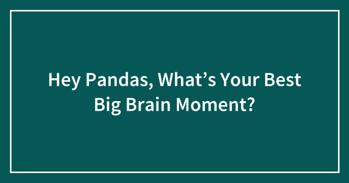 Hey Pandas, What’s Your Best Big Brain Moment?