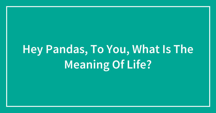 Hey Pandas, To You, What Is The Meaning Of Life? (Closed)