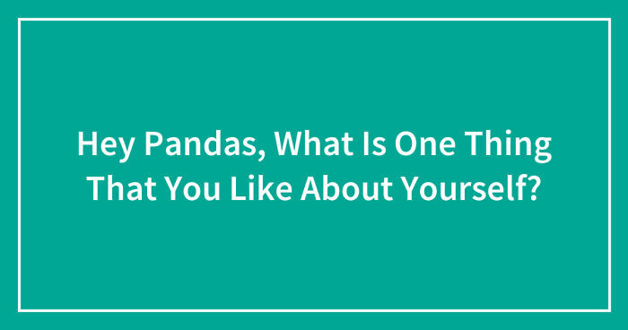 Hey Pandas, What Is One Thing That You Like About Yourself? (Closed)