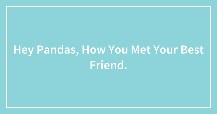 Hey Pandas, How You Met Your Best Friend.