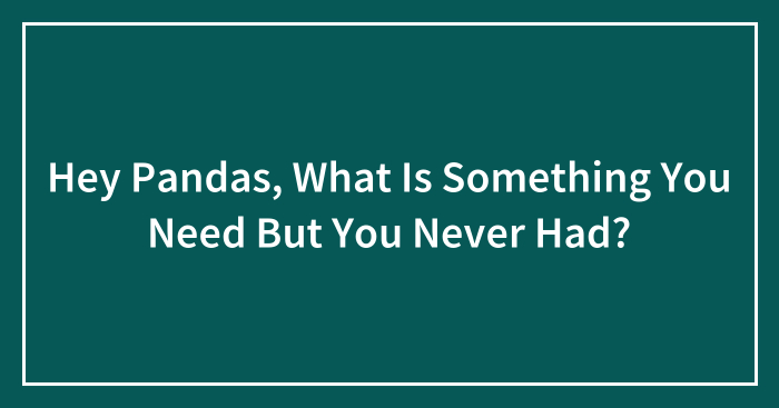 Hey Pandas, What Is Something You Need But You Never Had?