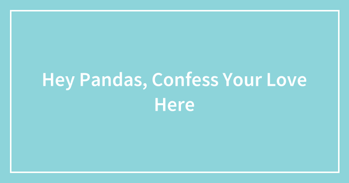 Hey Pandas, Confess Your Love Here
