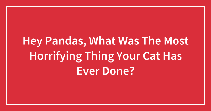 Hey Pandas, What Was The Most Horrifying Thing Your Cat Has Ever Done? (Closed)