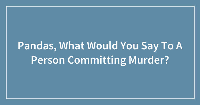 Pandas, What Would You Say To A Person Committing Murder? (Closed)