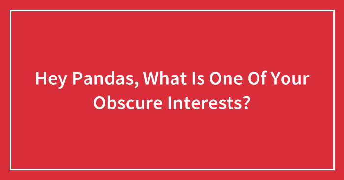 Hey Pandas, What Is One Of Your Obscure Interests? (Closed)
