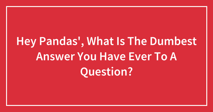 Hey Pandas’, What Is The Dumbest Answer You Have Ever To A Question?