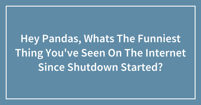 Hey Pandas, Whats The Funniest Thing You’ve Seen On The Internet Since Shutdown Started?