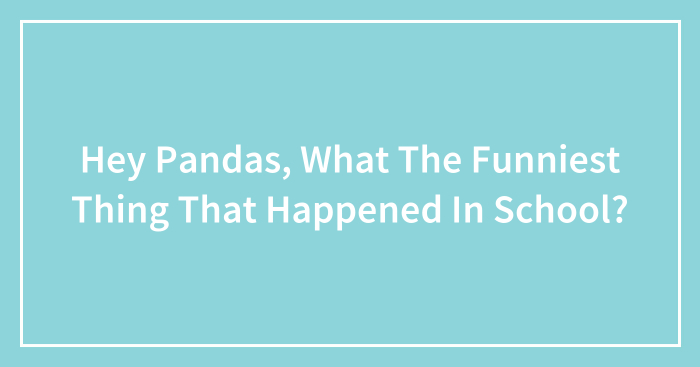 Hey Pandas, What The Funniest Thing That Happened In School?
