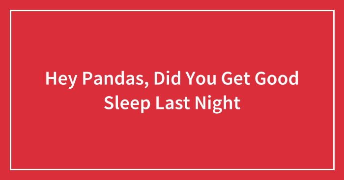 Hey Pandas, Did You Get Good Sleep Last Night