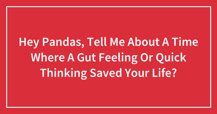 Hey Pandas, Tell Me About A Time Where A Gut Feeling Or Quick Thinking Saved Your Life? (Closed)