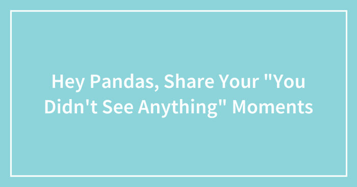 Hey Pandas, Share Your “You Didn’t See Anything” Moments (Closed)