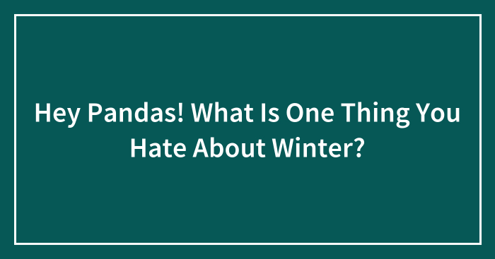 Hey Pandas! What Is One Thing You Hate About Winter? (Closed)