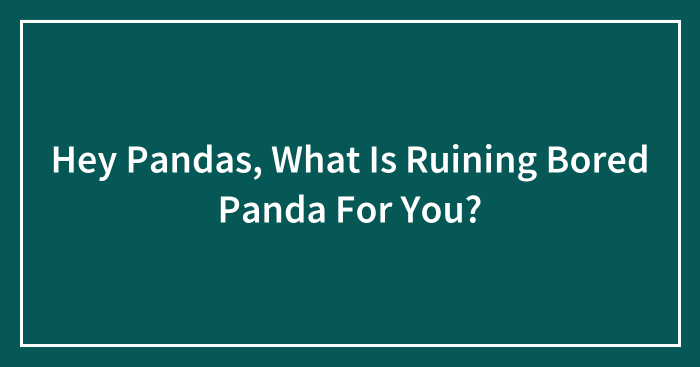 Hey Pandas, What Is Ruining Bored Panda For You? (Closed)
