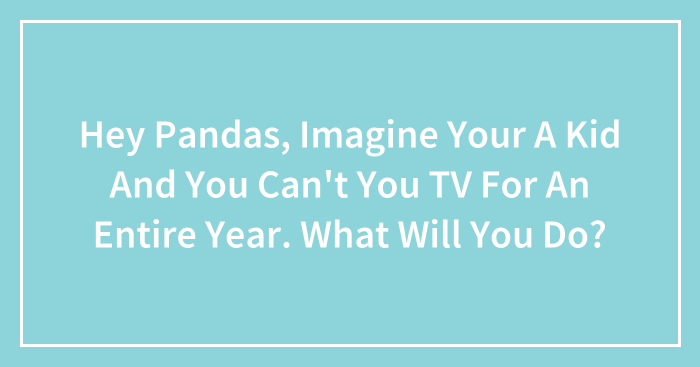Hey Pandas, Imagine Your A Kid And You Can’t You TV For An Entire Year. What Will You Do? (Closed)
