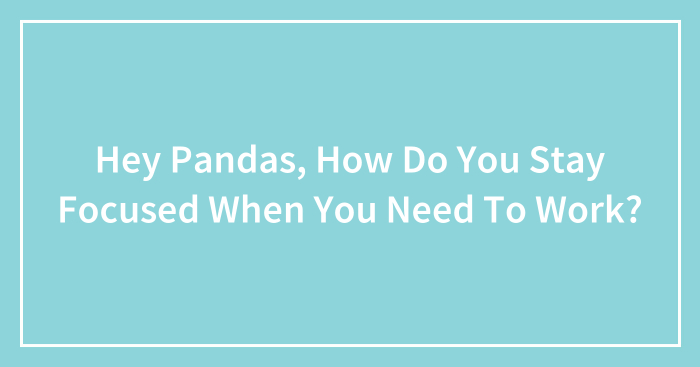 Hey Pandas, How Do You Stay Focused When You Need To Work?