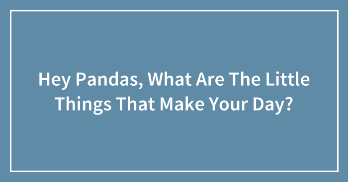 Hey Pandas, What Are The Little Things That Make Your Day? (Closed)