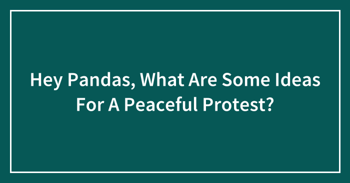 Hey Pandas, What Are Some Ideas For A Peaceful Protest? (Closed)