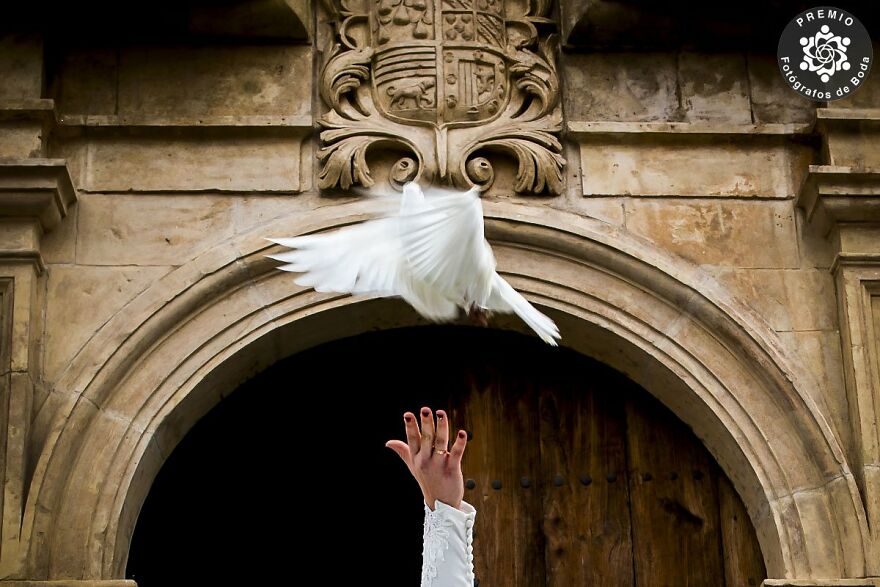 Image By Eduardo Blanco