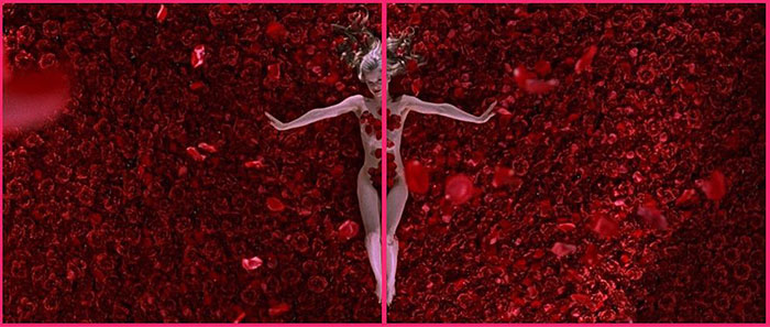 American Beauty (1999)⠀