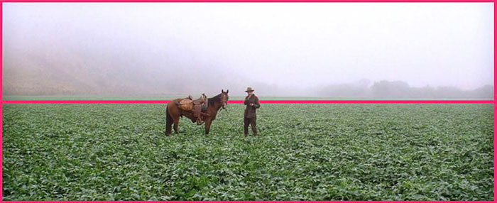 There Will Be Blood (2007)⠀⠀