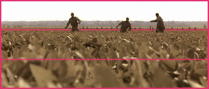 O Brother, Where Art Thou? (2000)⠀