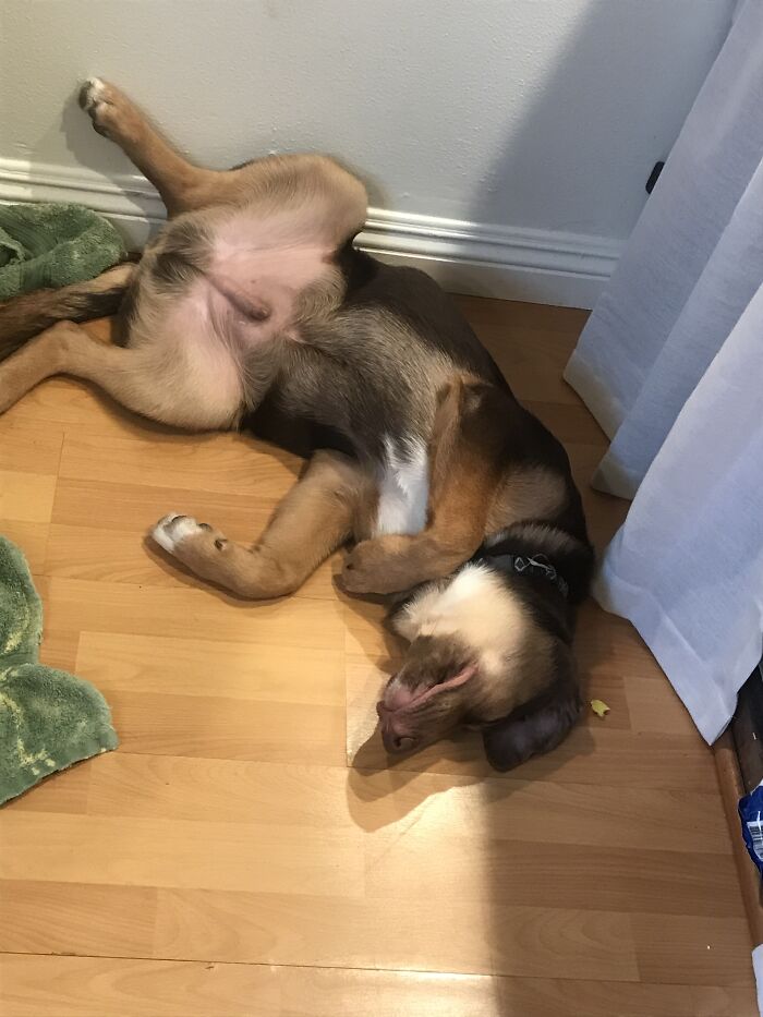 Finn Always Manages To Have The Most Creative Sleeping Positons