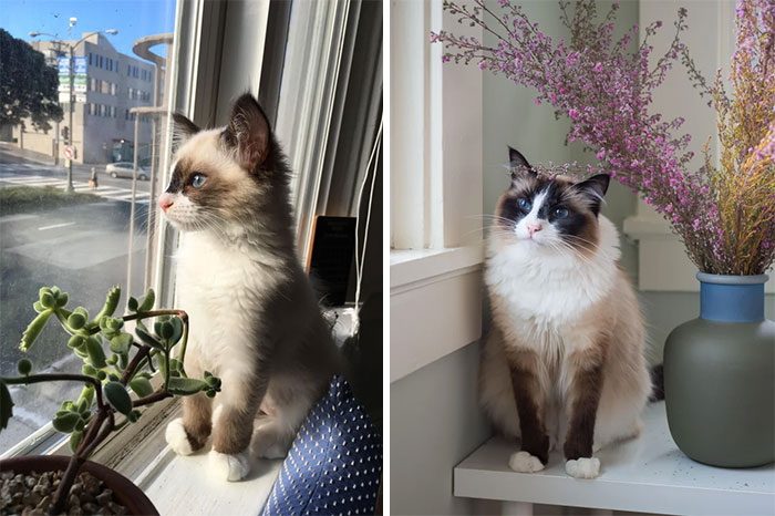 3months vs. 3 Yo