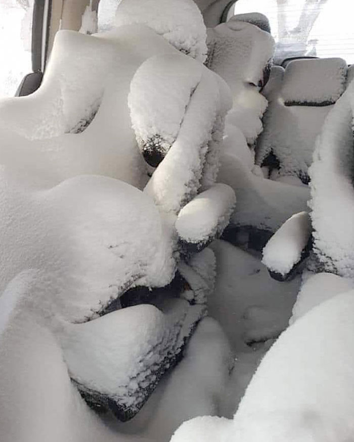 Apparently, The Kids Were Too Distracted To Shut The Door