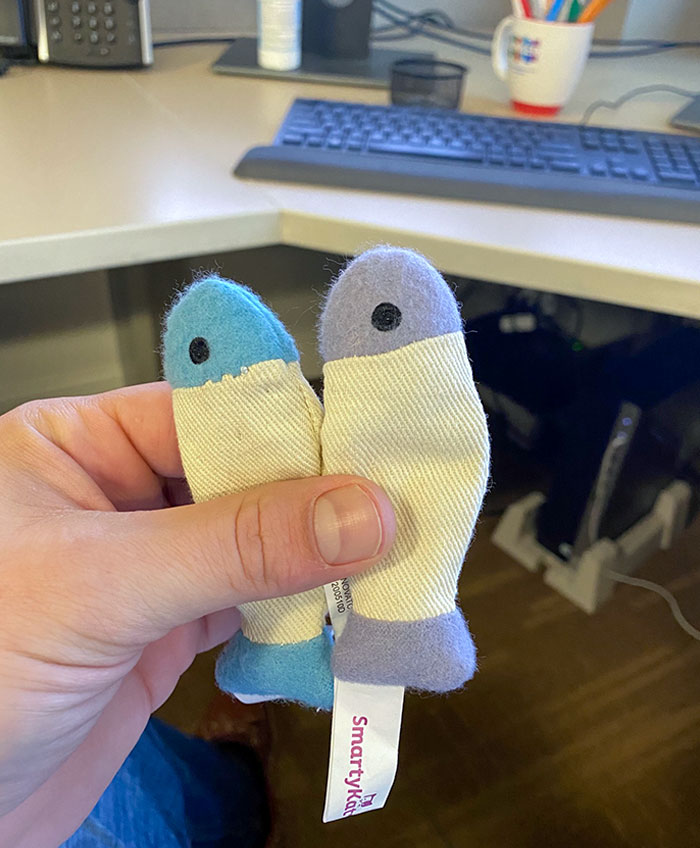 Just Want To Thank My Daughter For Putting Cat Toys In My Pocket While I Was Making Her Breakfast And Not Noticing Until I Got To Work