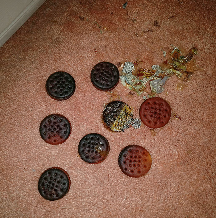 Daughter Decided To Toast Her Crackers In The Heater And Not Tell Me About It For A Couple Years