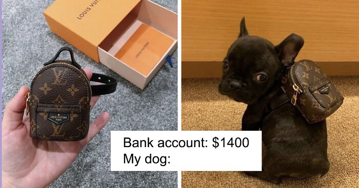 30 Of The Most Sarcastic And Funny Tweets That Show How People Are Gonna Spend All That Stimulus Check Money