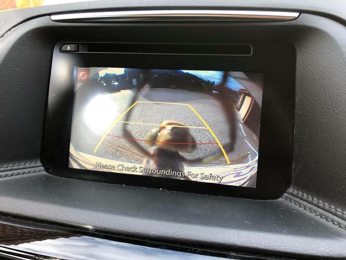 This My Friends Is How I Almost Pooped My Pants This Morning