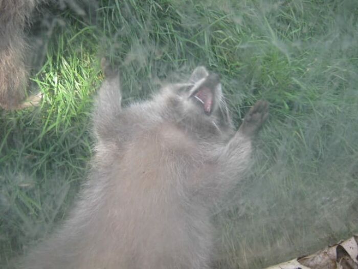 Seems A Bit Dramatic To Me